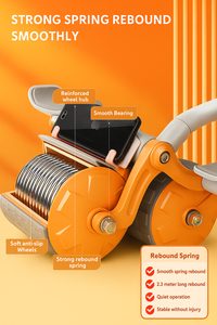 Ab Roller Gym Wheel Double Wheel Exercise Fitness Equipment