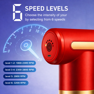 Massage Gun with Adjustable Intensity, 4 Interchangeable Massage Heads, USB Rechargeable